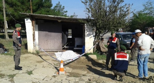 Elektrik Akımına Kapılarak Can Verdi