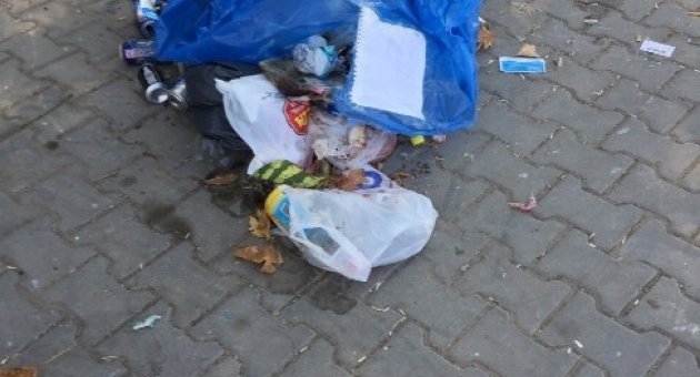 Elinden Giden Barınaktan Hizmeti De Çekti