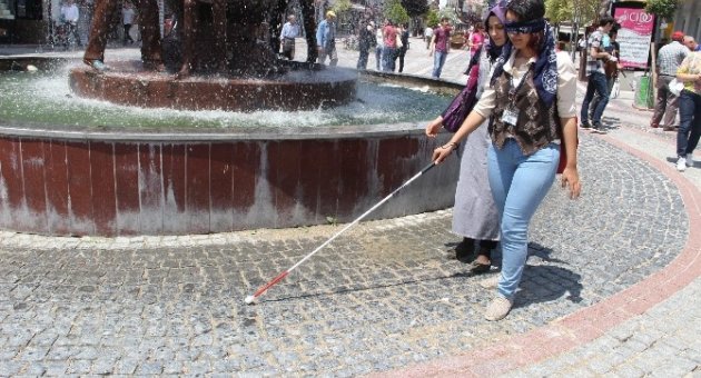 Empati Sonuçları Tasarımlarına Yansıyacak