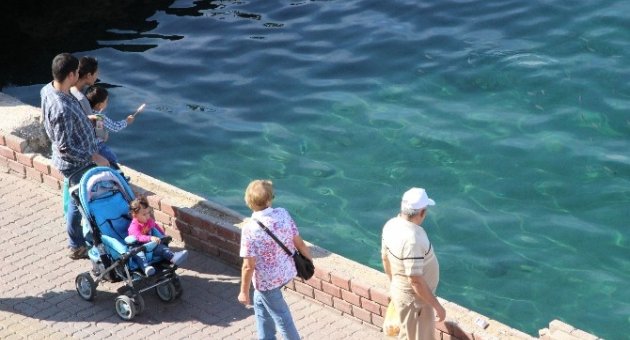 Eski Feribot İskelesi Doğal Akvaryum Oldu