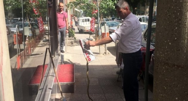 Esnafa Saldıran Yılanı Eliyle Yakaladı