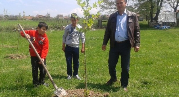 Etili Köyüne 300 Fidan Dikildi