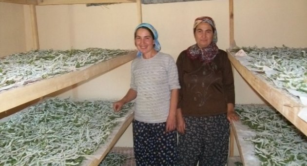 Evlerinde Böcek Yetiştirerek 5 Bin Lira Kazandılar