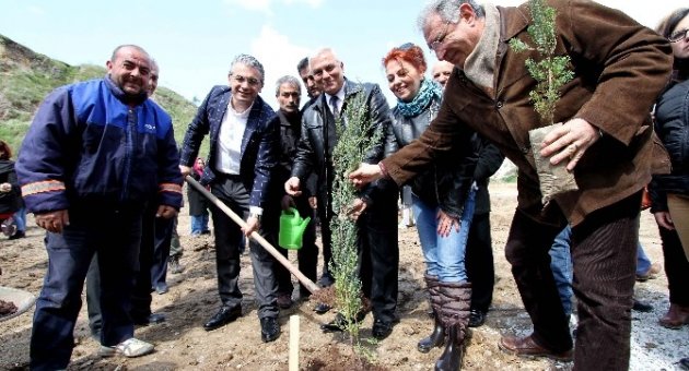 Fidan Dikmeyene Ruhsat Yok