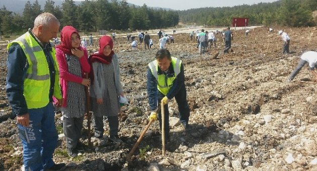 Fidanlar Toprakla Buluştu