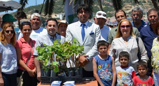 Foça’nın Antik Meyvesi Yeniden Yetişecek
