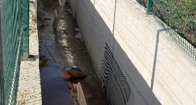 Fuar İzmir’de Beklenmedik Olay