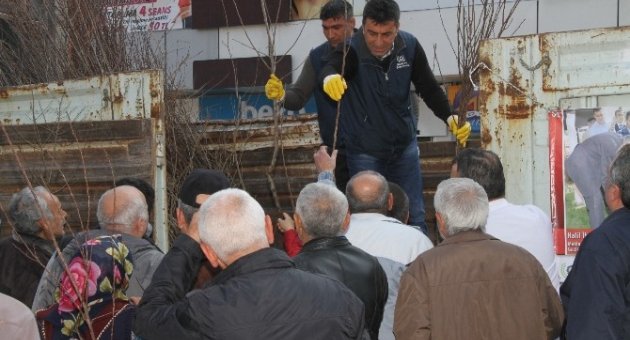 Gaziemir Belediyesi 3 Bin Fidan Dağıttı