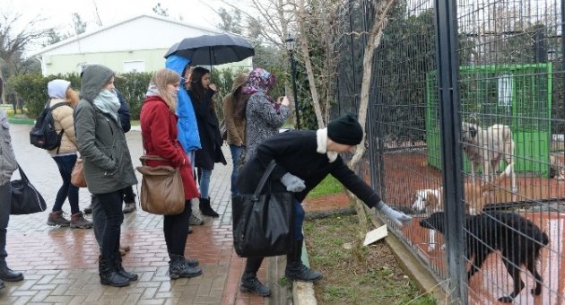 Geleceğin Veteriner Adaylarına Uygulamalı Eğitim
