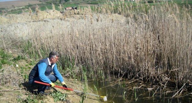 Gelibolu Belediyesi Sinekle Mücadeleye Devam Ediyor