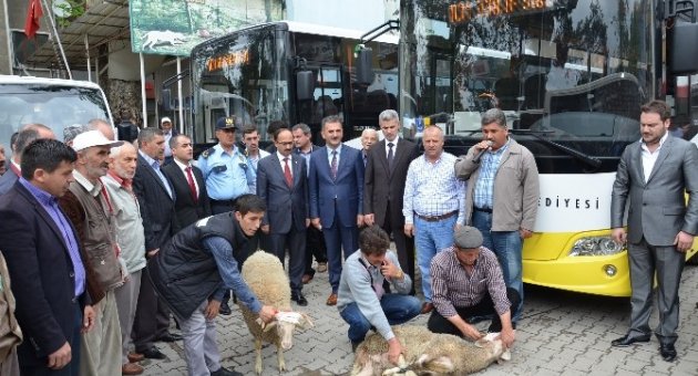 Gemlik-bursa Hattı Artık Daha Konforlu