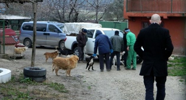 Gözleri Görmeyen Köpek Koruma Altına Alındı