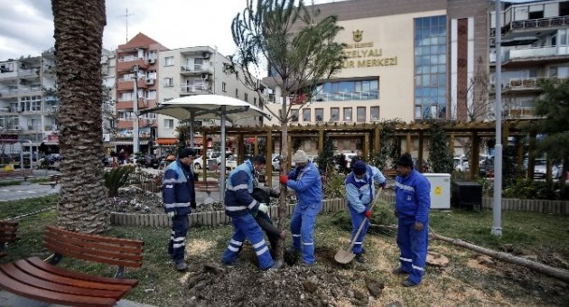 Güzelyalı Artık Daha Güzel
