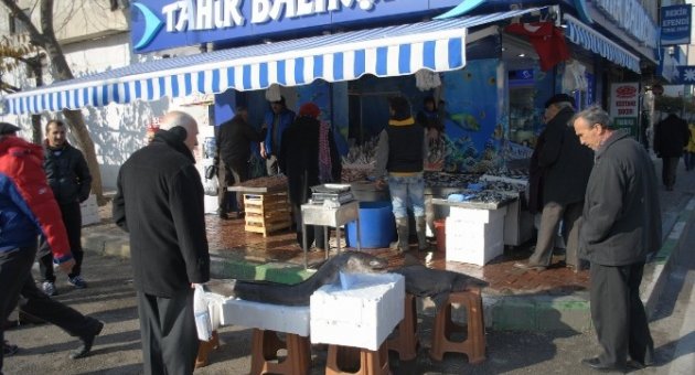 Hamsi Ağlarından Canavar Çıktı