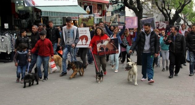Hayvan Hakları Ve Ölümleri İçin Yürüdüler