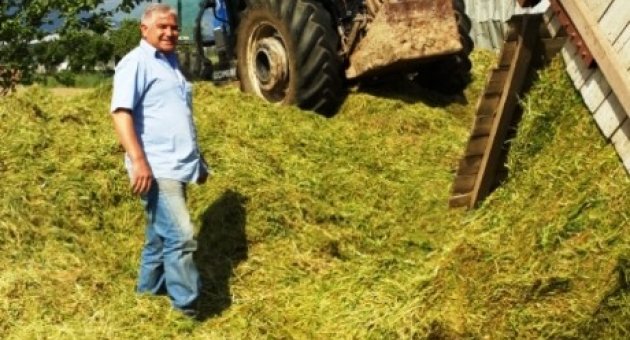 Hayvancılığın Olmazsa Olmazı “arpa Silajı”