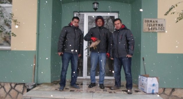 Hayvanlar İçin Veterinerlerden 24 Saat Kar Nöbeti