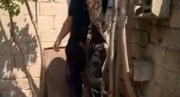 Hayvanseverler Kırklareli’deki Kedi Katiline Eskişehir İle Emsal Dava İstiyor
