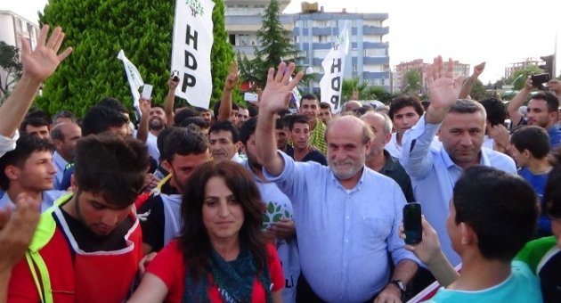 Hdp Milletvekili Kürkçü: “lütfen Herkes Kedileri Sevsin”