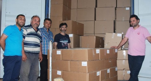 İhracatını Yanlışlıkla Sahte Epal Paletlerle Yapan Firmaya Hollanda’dan Büyük Şok