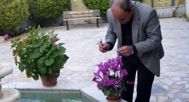 İmamın Çiçek Merakı