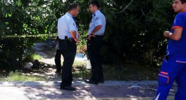 İncir Toplamak İsterken Canından Oldu