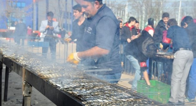 İnegöl’deki Hamsi Festivalinde 2,5 Ton Hamsi Tüketildi