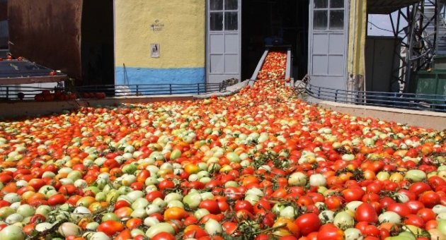 İnegöl’den Hollanda’ya 600 Ton Salça İhraç Edilecek