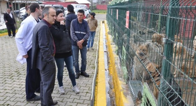 İnegöl’e Yeni Hayvan Barınağı