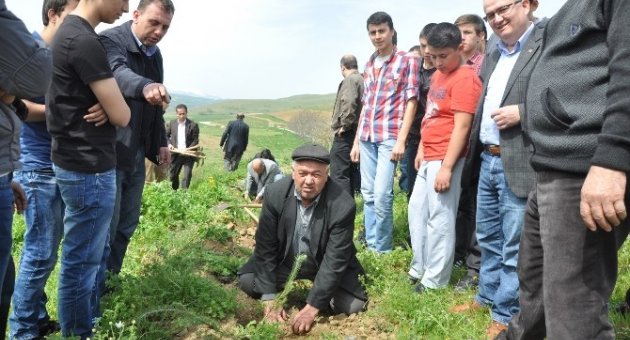 İnegöllü Mobilyacılar 600 Fidanı Toprakla Buluşturdu