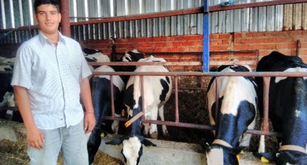 İnek Bakıp Okul Harçlığını Çıkarıyor