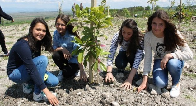 İnternette Bir Araya Gelip Mahallelerinde Fidan Diktiler