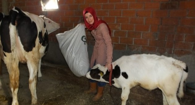 İvrindili Elif Hanım, “önder Çiftçi” Oldu