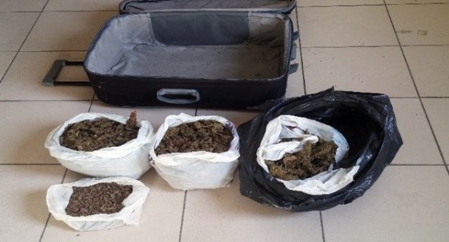 İzmir Polisi, İzmir-diyarbakır Esrar Hattını Çökertti