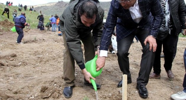 İzmir’de Evlenen Her Çifte Bir Fidan