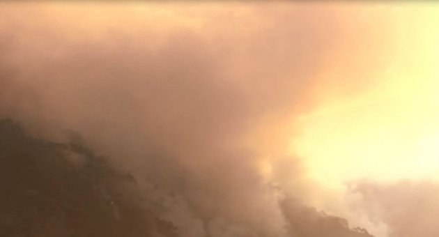 İzmir’de Orman Yangını