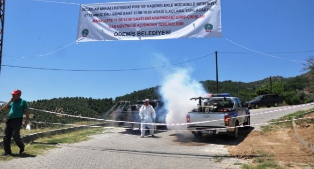 İzmir’de Pire Ve Sivrisinek Karantinası