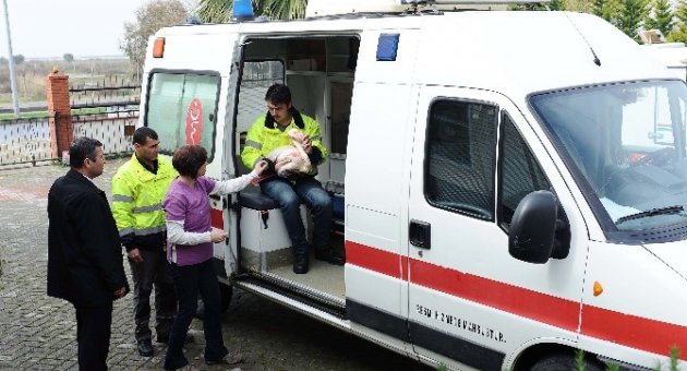 İzmir’de Yaralı Flamingo Seferberliği