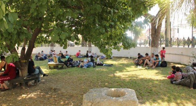 İzmir’den Yunanistan’a Kaçmaya Çalışan 47 Mülteci Yakalandı