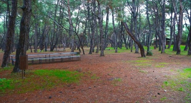 İzmir’e Devasa Piknik Alanı