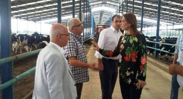 İzmirli Süt Üreticisinin Primleri Yatırıldı; Rakam “15 Milyon”