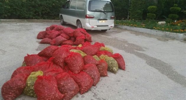 Jandarma Ekipleri Midye Kaçakçılarına Göz Açtırmıyor