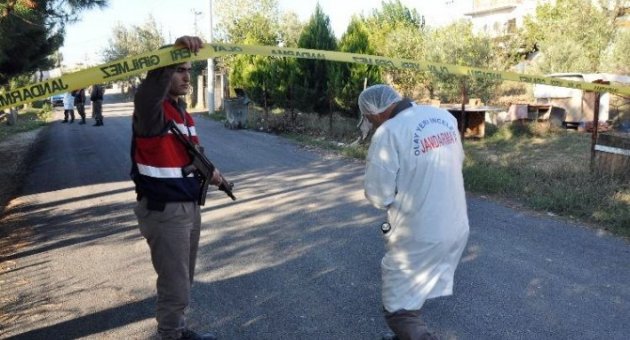 Jandarma Sır Hırsızlıkları ’polenle’ Çözdü