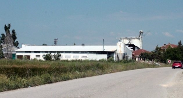 Kanatlı Kabus Bursa’ya Sıçradı, On Binlerce Tavuk İtlaf Edildi...(özel Haber)