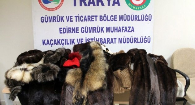 Kapıkule’de Vizon, Marmot Ve Kızıl Sincap Postu Kürk Manto Ele Geçirildi