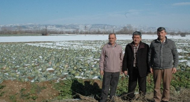 Kar Kışlık Ürünlere Yaradı