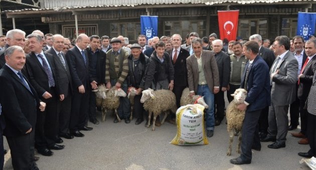 Kar Ve Lodosun Vurduğu Bursalı Çitfçilerin Bedava Koyun Sevinci