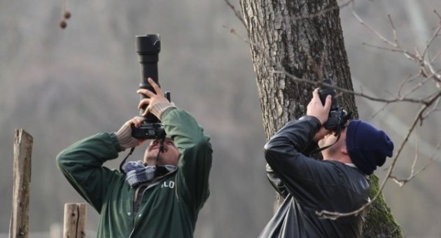 Karacabey Longoz Ormanlarında Fotoğraf Kampı