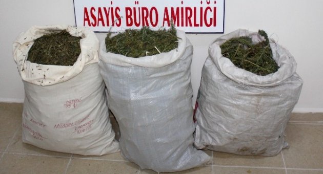 Karacabey Polisinden Uyuşturucu Satıcılarına Darbe