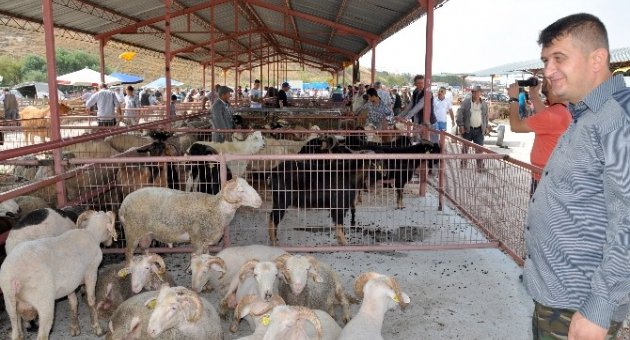 Karacabey’de Kurbanlıklar Elde Kaldı